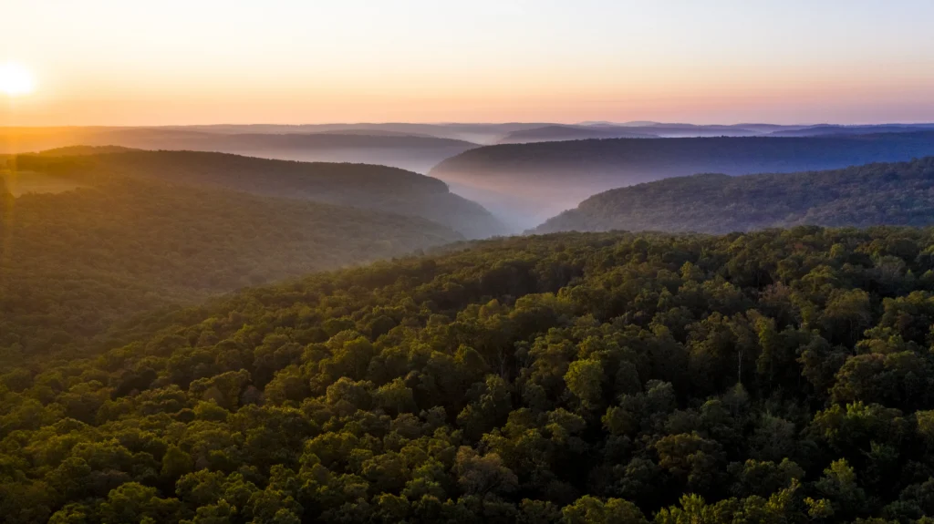 Heartland landscape