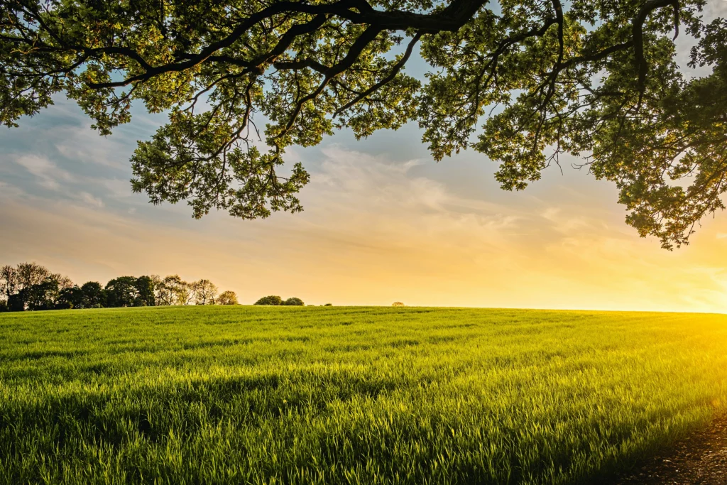 4 reasons givers choose NCF Heartland