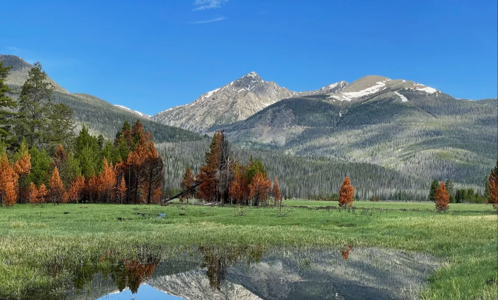 Rocky Mountains area
