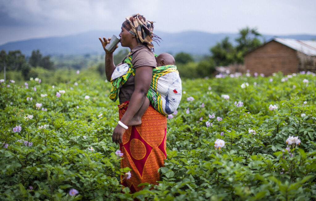 The solvable crisis: Safe water for the whole world