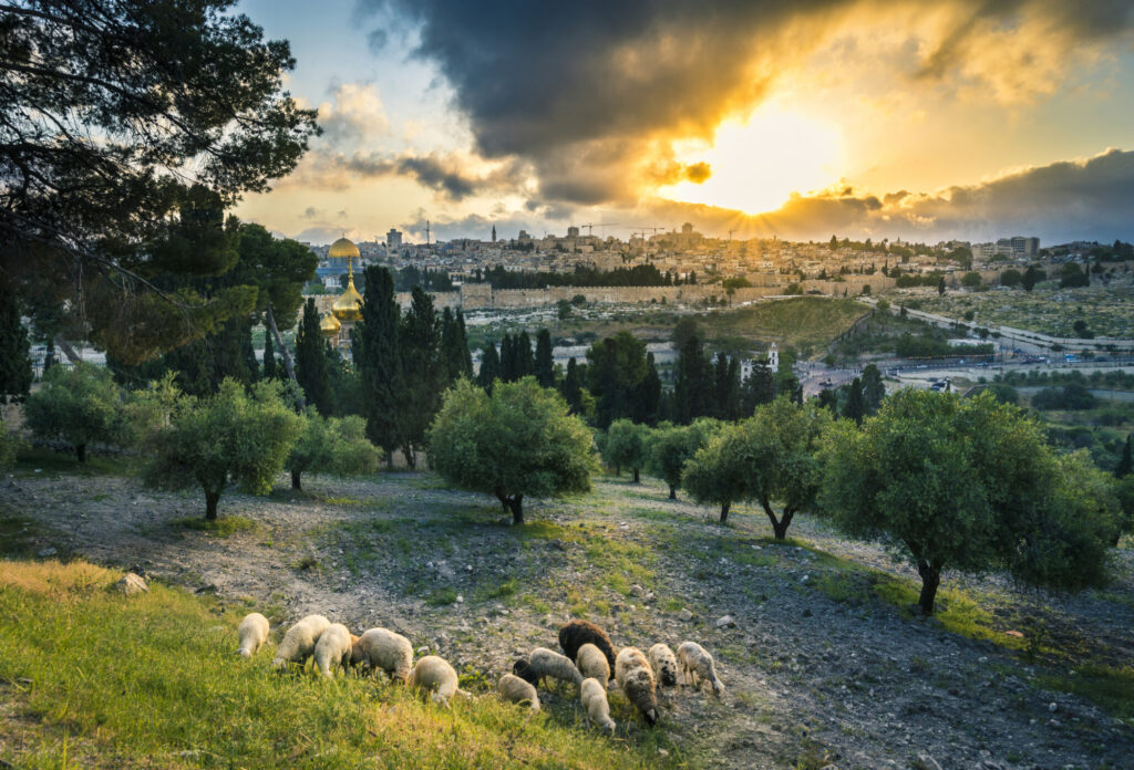Why journey through Lent as a community?