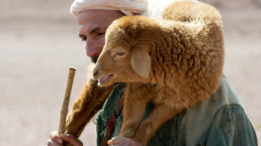 3 questions for Jesus' financially fearful flock