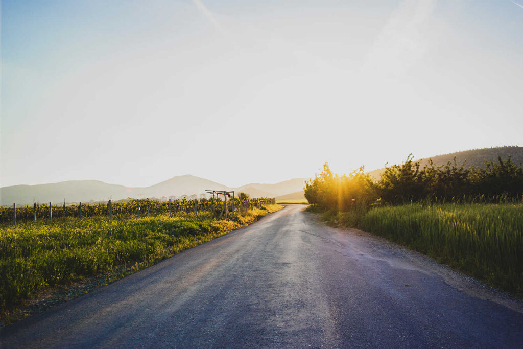 The value of the long view of life